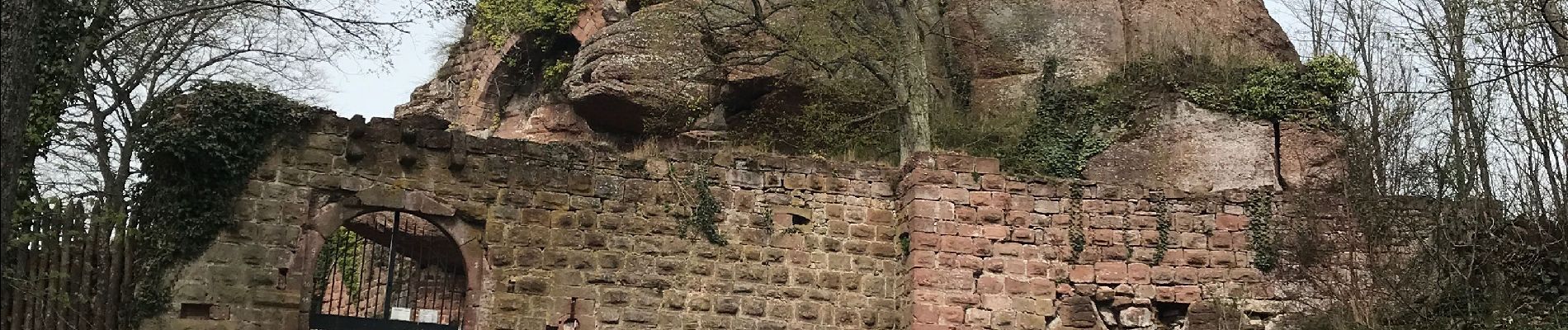 Percorso Marcia Mollkirch - Château guirbarden - Photo