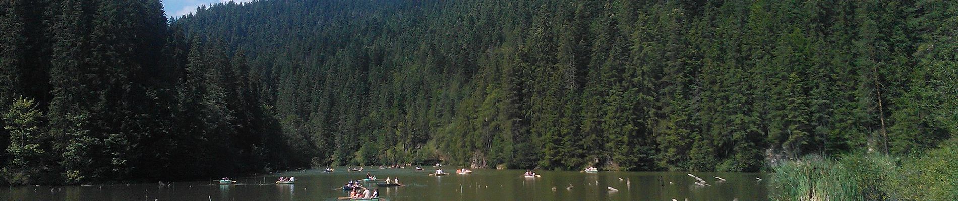 Tour Zu Fuß Niklasmarkt - Lacul Roșu - Avenul Licaș - Photo