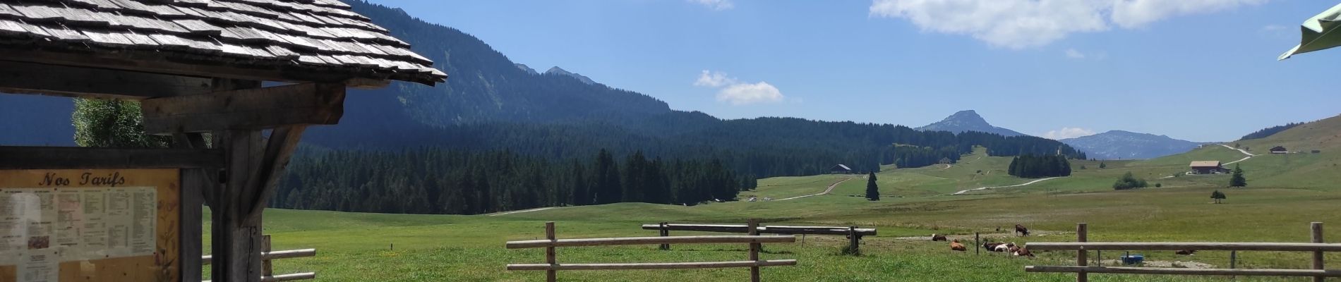 Tocht Stappen Fillière - Thorens-plateau des Glières - Photo