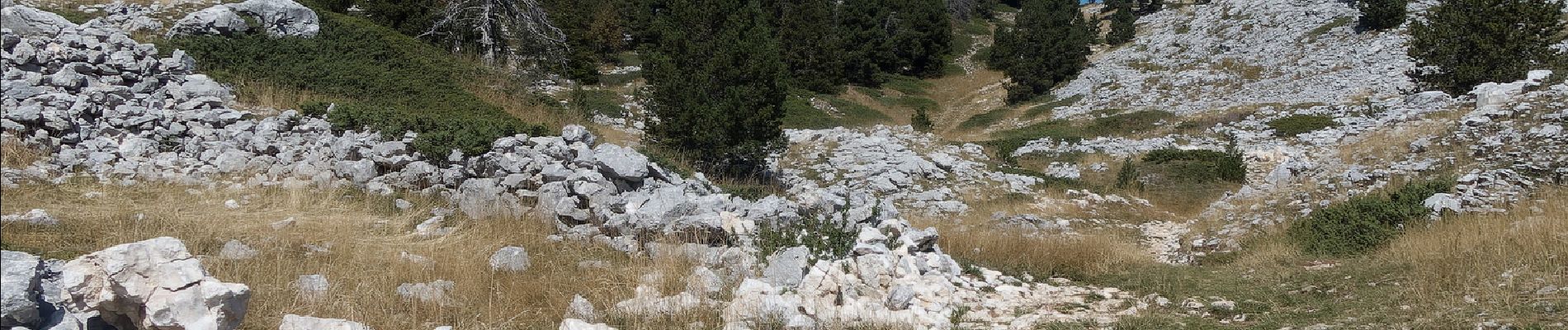 Tour Wandern Romeyer - Romeyer - Col des Bachassons - Le Pison - Le Château - Photo