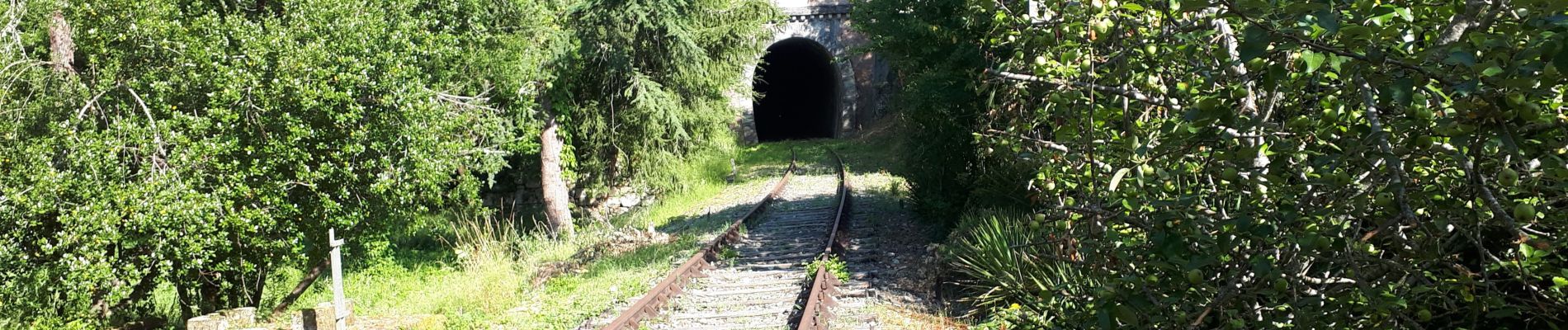 Percorso Marcia Saint-Cirq-Lapopie - Activity - Photo