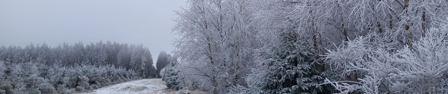 Excursión Senderismo Theux - dans le givre de Crambon  - Photo