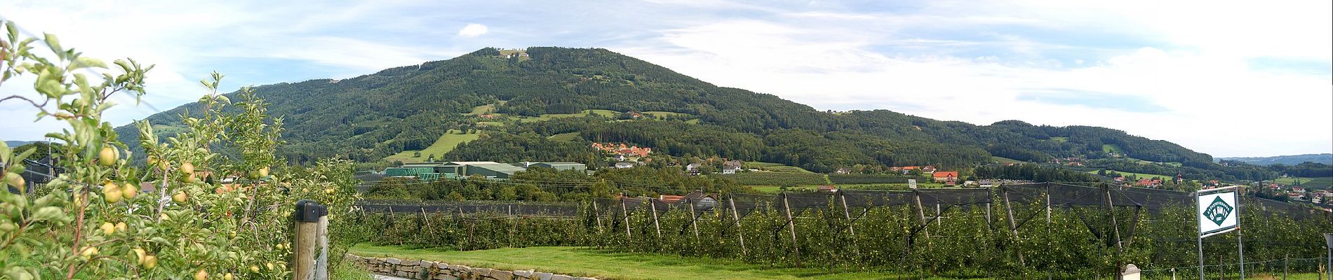 Tour Zu Fuß Puch bei Weiz - Ilzbergrunde - Photo