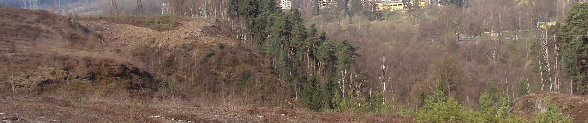 Randonnée A pied Zákupy - NS Zákupy - Photo