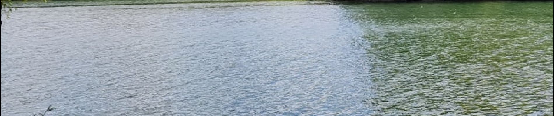 Randonnée Marche Froidchapelle - La balade du bois du Grand Oupia aux lacs de l'eau d'heure - Photo