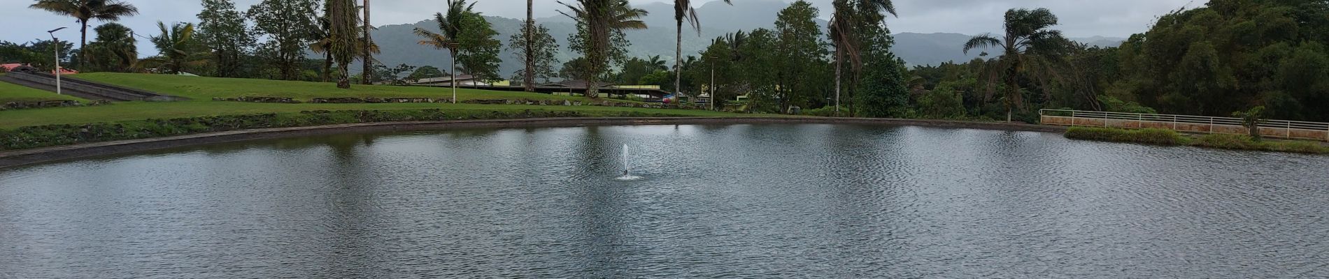 Trail Walking Le Morne-Rouge - Boucle Chazeau, Cap 21 - Photo