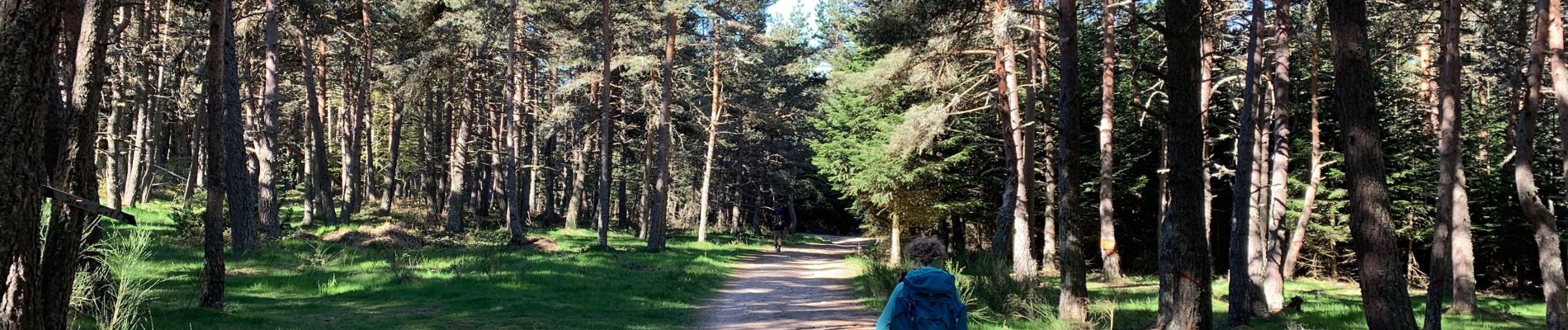 Trail Walking Saugues - Le Puy Conques 3 - Photo