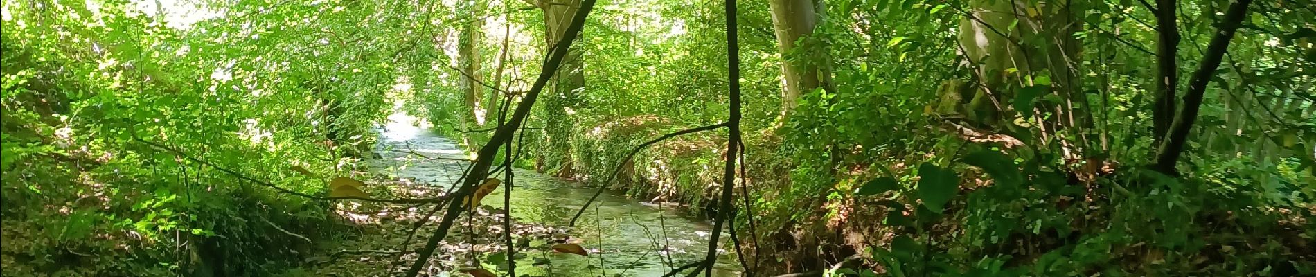 Tocht Noords wandelen Le Drennec - le drenec. Loc brevelaire  - Photo