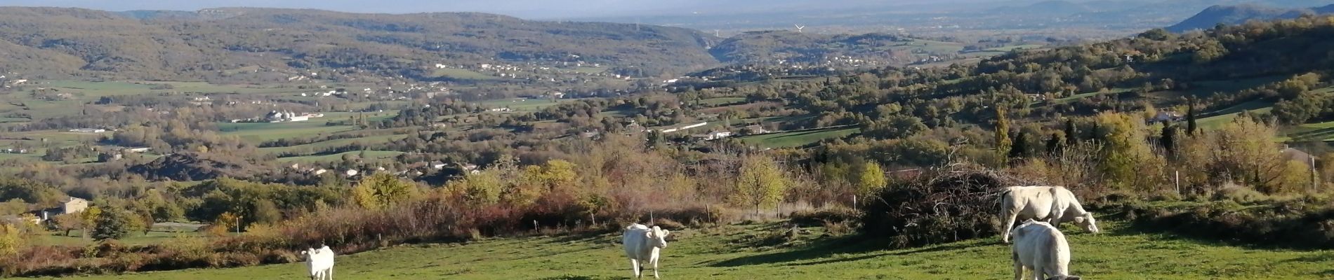 Tour Wandern Saint-Bauzile - Saint bauzille  - Photo