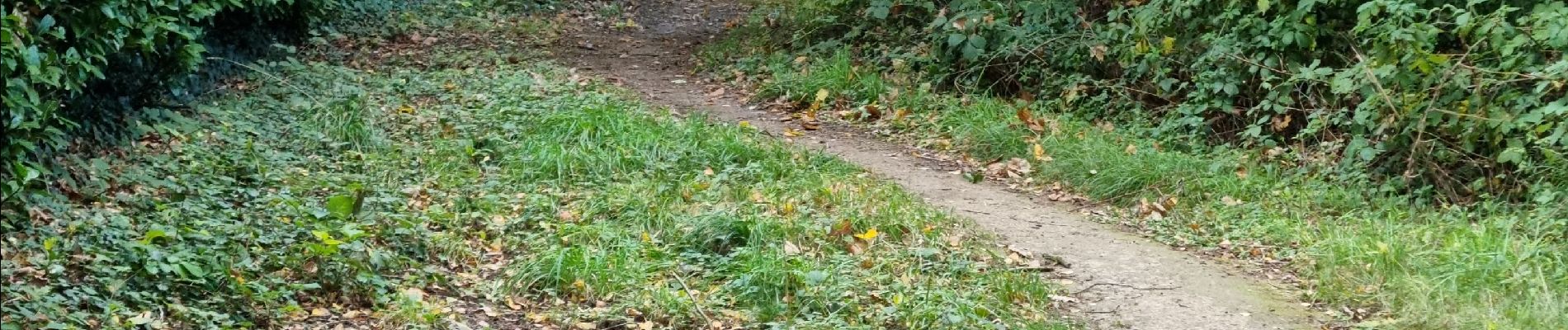 Randonnée Marche Cesson - Cesson-la-Forêt - Boissise-la-Bertrand - Photo