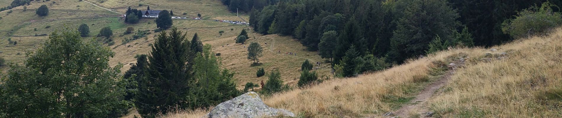 Randonnée Marche Wasserbourg - Au pied du Petit Ballon par le sentier Hertzog - Photo