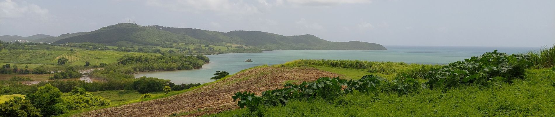 Excursión Senderismo La Trinité - boucle pointe rouge - anse spourtoune - Photo