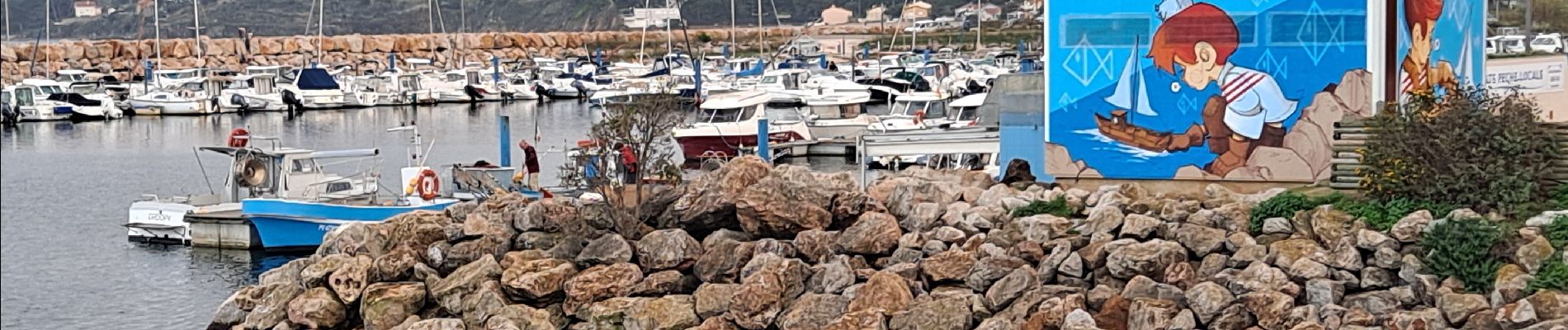 Tocht Stappen Argelès-sur-Mer - Argelès circuit mémoriel - Photo