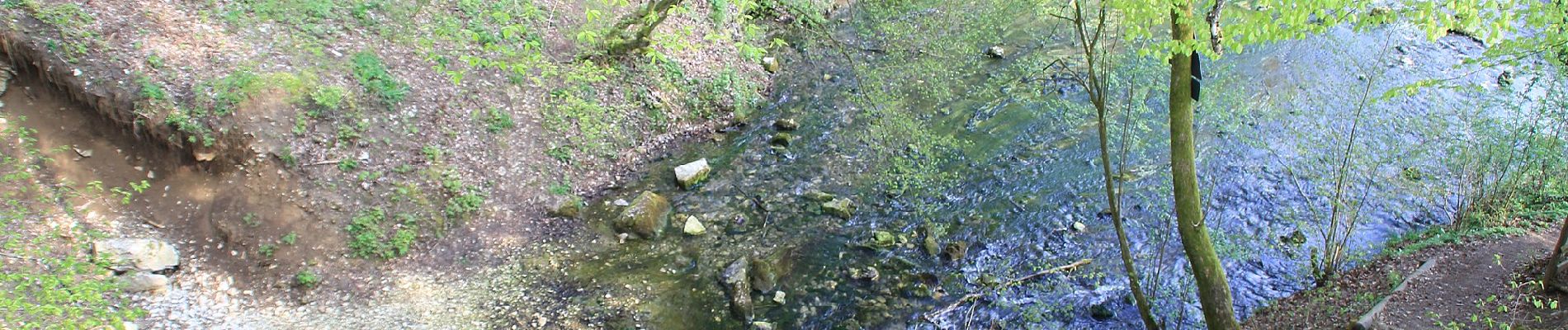 Tour Zu Fuß Königsbronn - Karstquellenweg Oberkochen - Königsbronn - Photo