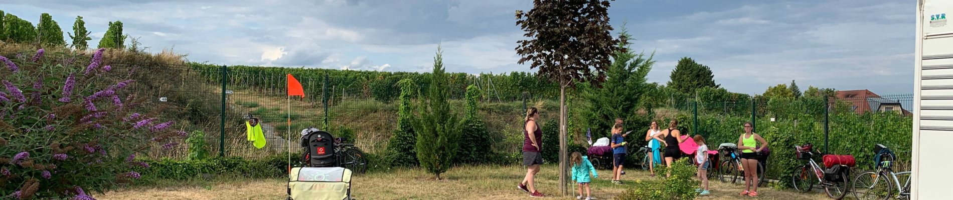 Tocht Fietstoerisme Issenheim - ELSASS BIKE 2020 - ETAPE 2 - Photo