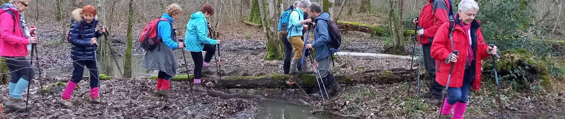 Excursión Senderismo Amance - La Loge GRBA 13,2KM - Photo