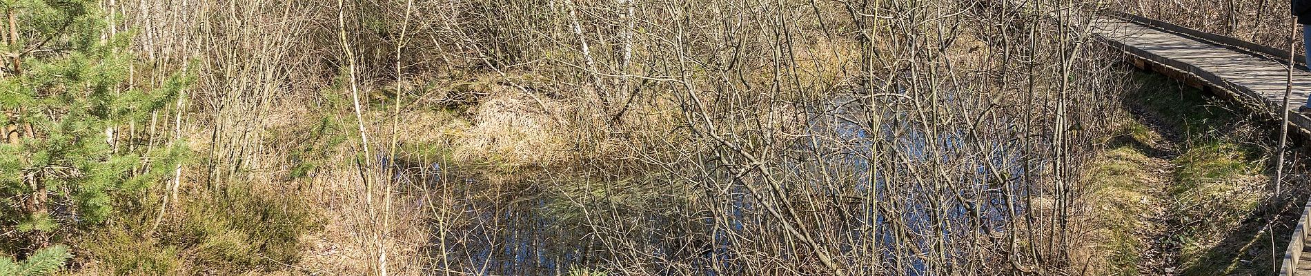 Trail On foot Vettweiß - großer Heideweg - Photo