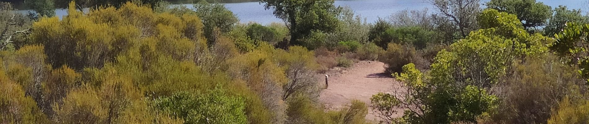 Randonnée Marche Le Cannet-des-Maures - lac des Escarcets - Photo