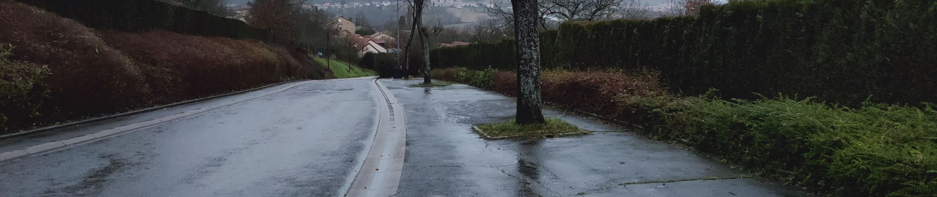 Randonnée Vélo de route Saulny - fèves - Photo