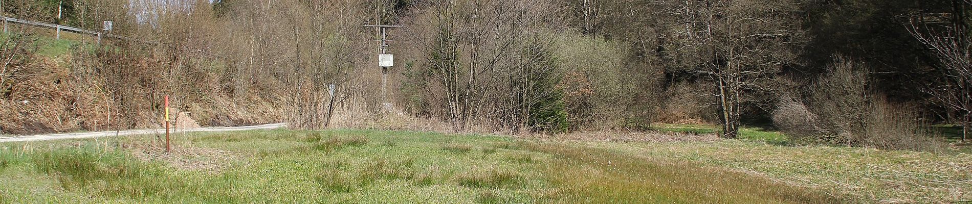 Percorso A piedi Sailaufer Forst - Schwarzer Fuchs, Rundwanderweg Heigenbrücken - Jakobsthal - Photo