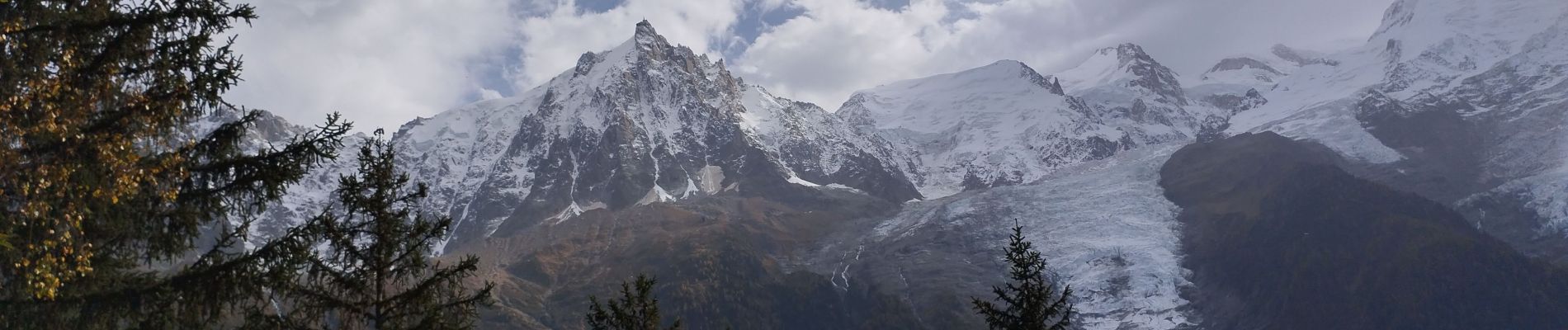 Percorso Marcia Chamonix-Mont-Blanc - 20241015 Chamonix Bois print Gaillands - Photo