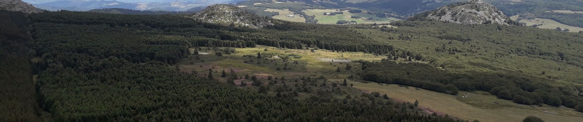 Tocht Stappen Le Béage - suc des Chartreux partie 1 - Photo