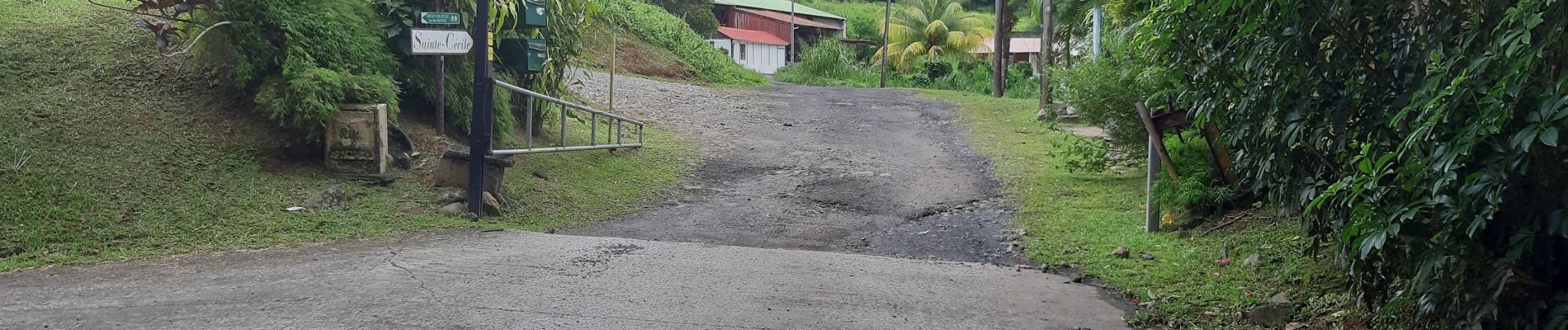 Trail Walking Le Morne-Rouge - Morne Jacob via Morne-Rouge - Photo