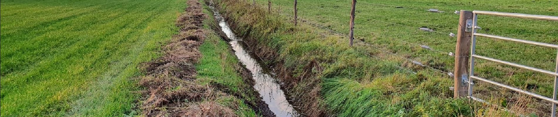 Trail On foot Schneverdingen - Rund um Wesseloh Wanderweg - Photo