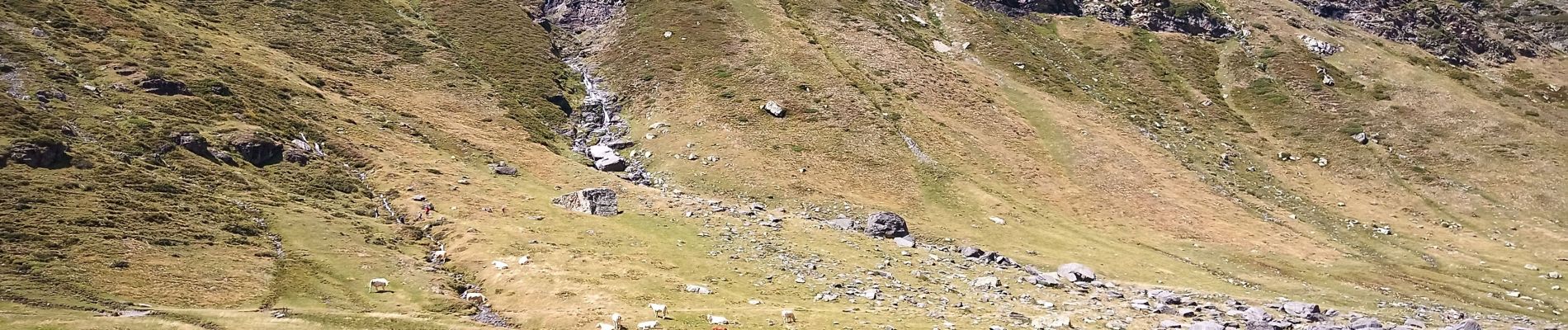 Tour Wandern Aragnouet - Lac de Badet - Photo