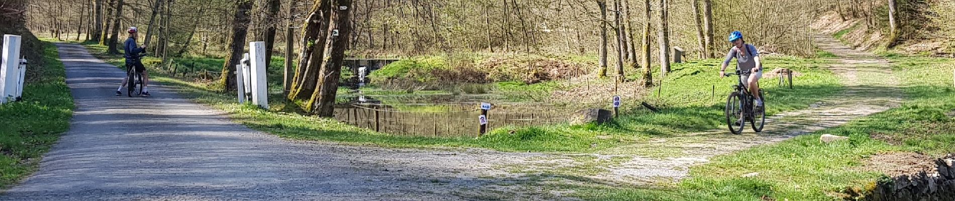 Punto de interés Saint-Hubert - Etangs - Photo