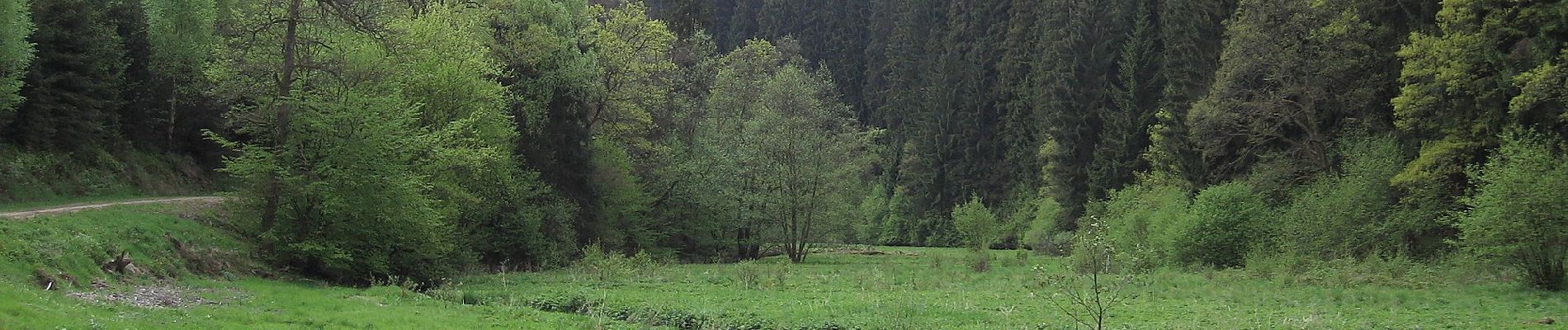 Tour Zu Fuß Kell am See - Kell 1 - Photo