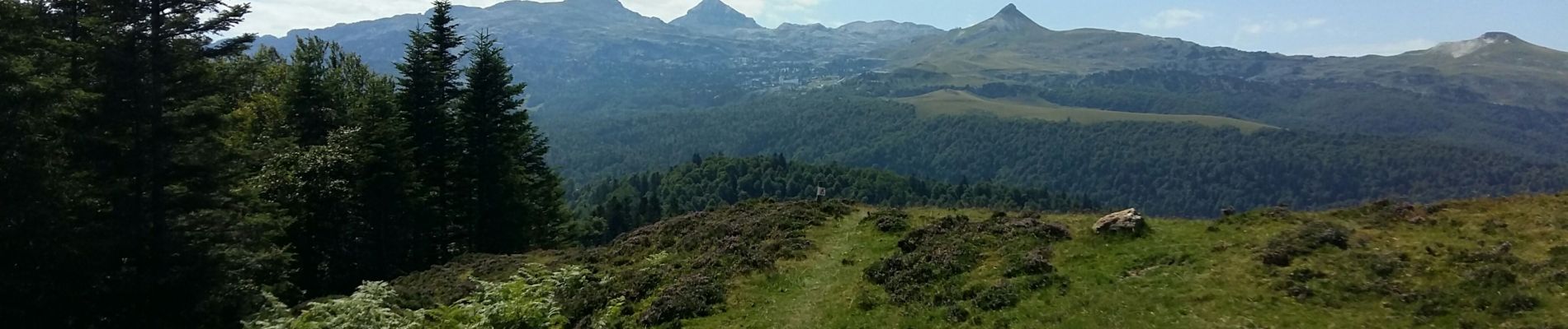 Tour Zu Fuß Lanne-en-Barétous - ISSARBE les crêtes    2893126 - Photo