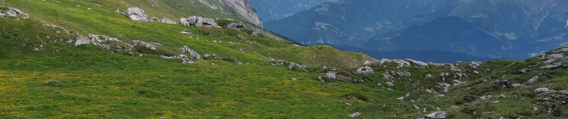 Tour Wandern Flims - Balade dans la Sardona, depuis Naraus jusqu'en-dessous du Martins Loch - Photo