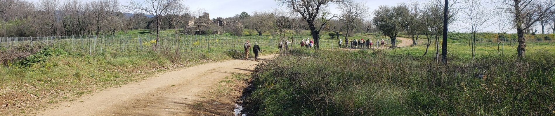 Trail Walking Callas - Le pont d'Endre - Photo