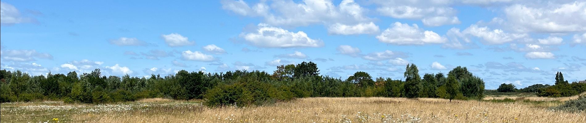 Randonnée  Sluis - Groede Polder - Photo