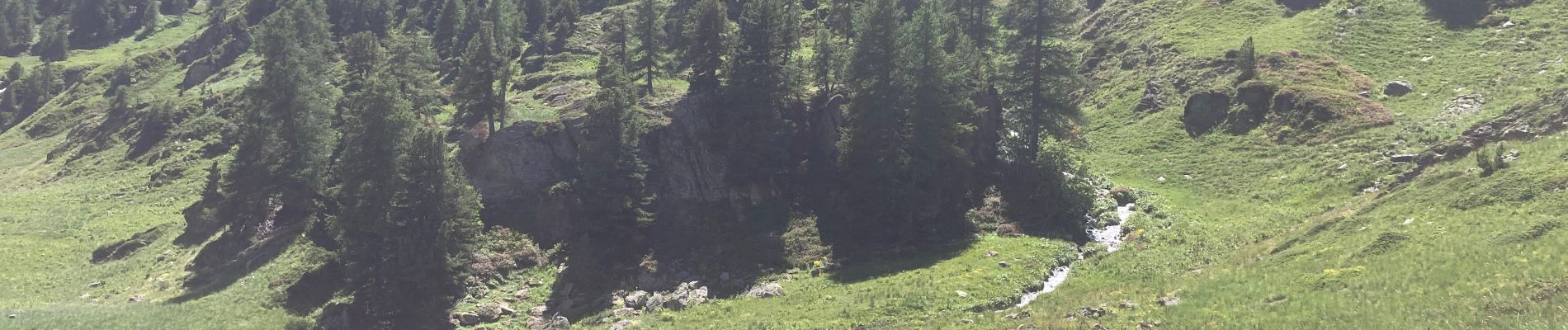 Randonnée Marche nordique Névache - De Foncouverte au refuge des Drayères et retour - Photo