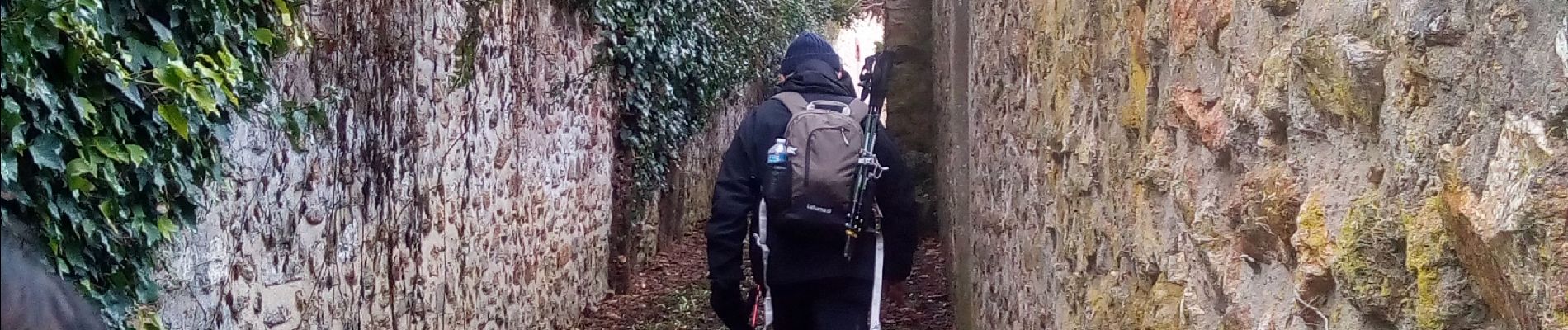 Randonnée Marche Saint-Fargeau-Ponthierry - Retour à l'école - Photo