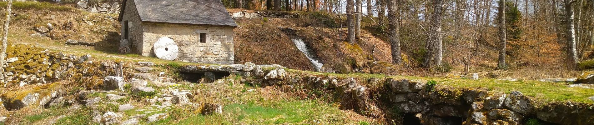 Randonnée Marche Pérols-sur-Vézère - Varieras_Razel - Photo