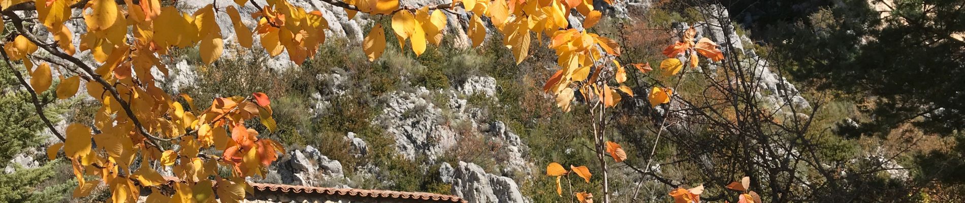 Tocht Stappen Castellane - Teillon - Photo