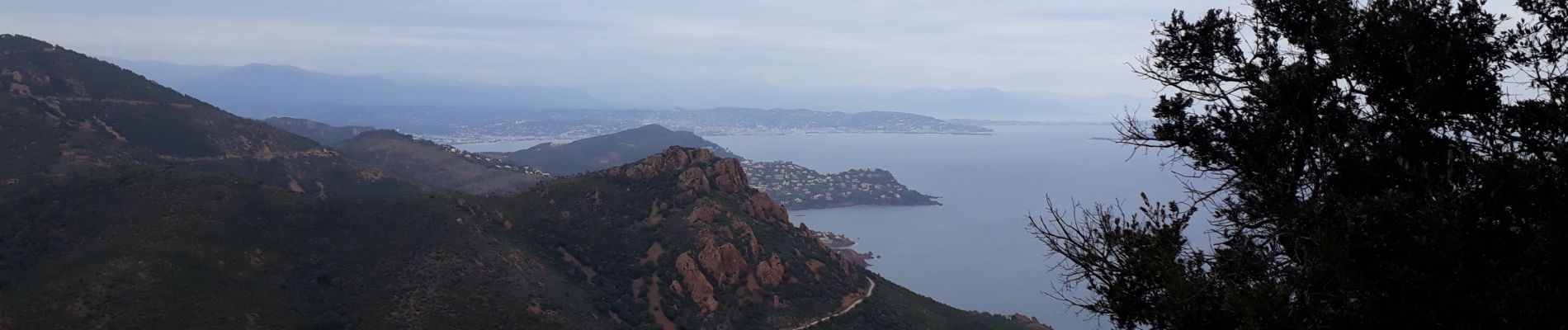 Tocht Stappen Saint-Raphaël - Esterel Cap Roux - Photo