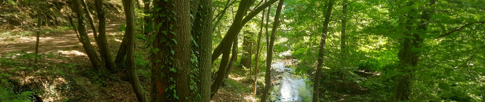 Tour Wandern Nandrin - Villers-le-Temple - Photo