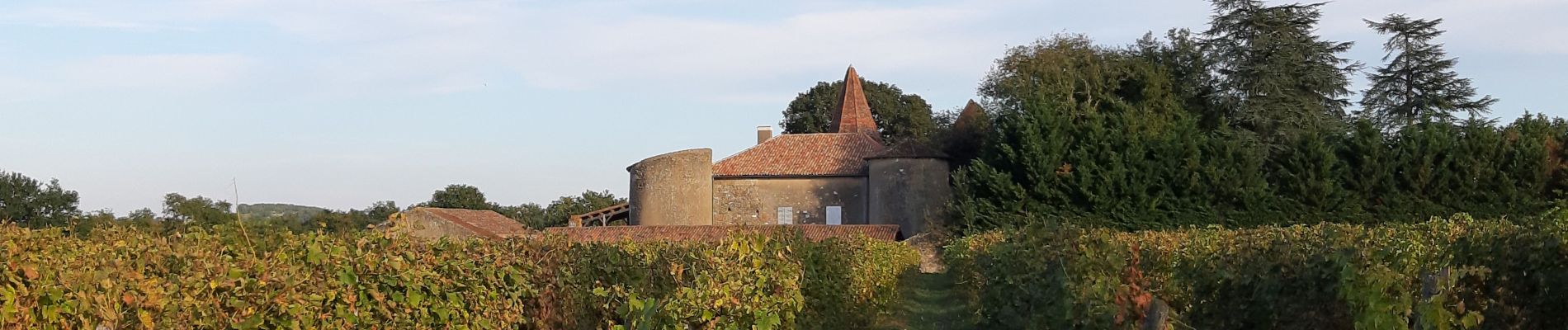 Tocht Stappen Condom - Graziac- Abbaye de Flaran -Valence sur Baise- Graziac - Photo