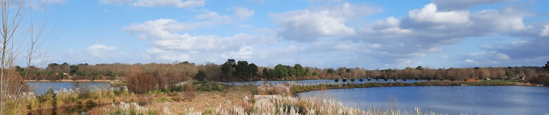 Tour Wandern Parempuyre - parempuyre - Photo