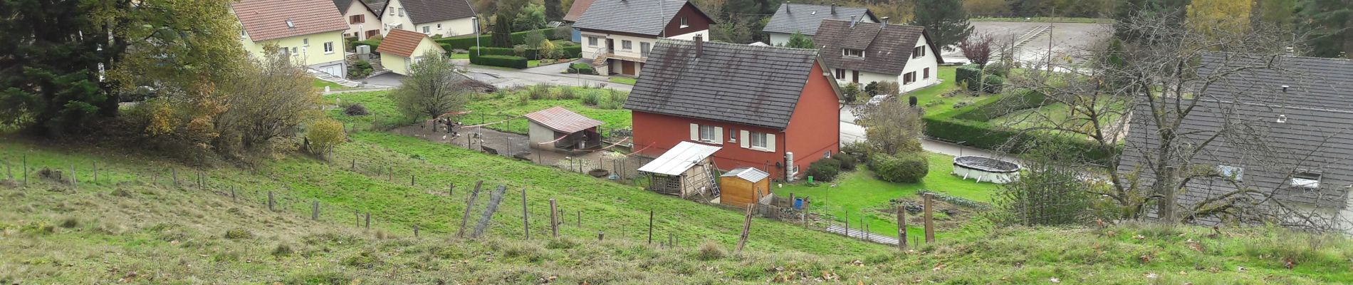 Tour Wandern Rimbach bei Masmünster - 2019.11.14.Ermensbach  - Photo