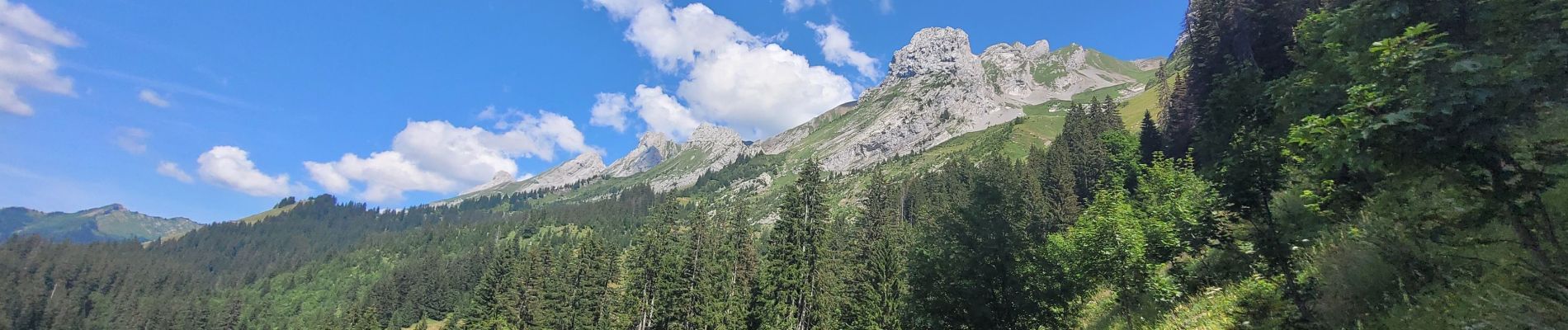 Excursión Senderismo La Clusaz - rando lac tardevent aravis 20-072023 - Photo