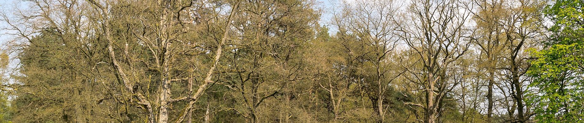 Randonnée A pied Hövelhof - A5 Ems-Erlebnisweg - Photo