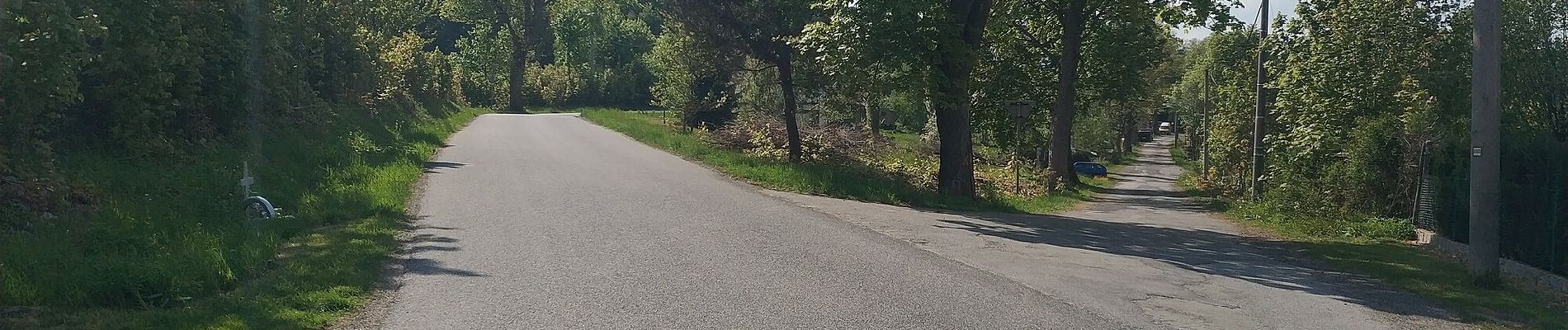 Tour Zu Fuß Reichenberg - NS Mojžíšův pramen - Císařský kámen - Photo