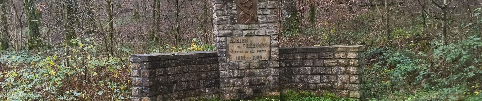 Excursión Marcha nórdica Virton - Bakèse - Photo