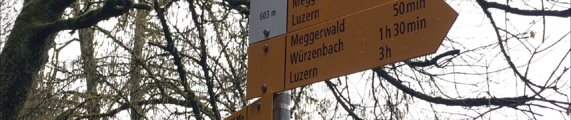 Tocht Te voet Udligenswil - Udligenswil - Chli Äbnet - Photo