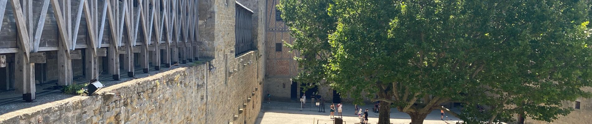 Tocht Stappen Carcassonne - Carcassonne Cité  - Photo